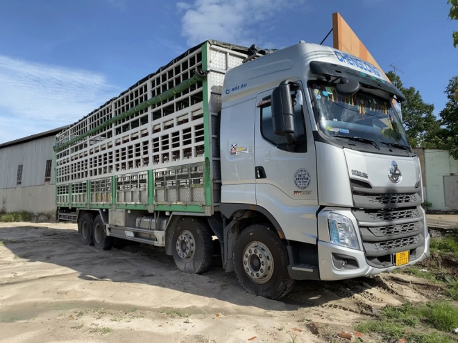 XE TẢI THÙNG CHENGLONG 4 CHÂN CHỞ GIA SÚC